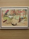 Cat country : a story : by Joan Tate