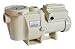 Pentair 011012 IntelliFlo VF High Performance 230-Volt 16-Amp Pool Pump, Almond