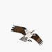 Toys : Jackite Osprey - Assembled