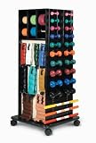 Mega Rack Weights Organizer