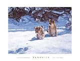 Cautious Approach by Banovich. Size 27.00 X 20.00 Art Poster Print