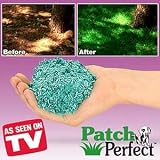  : PATCH PERFECT GRASS