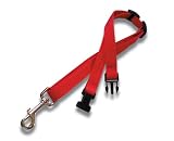 Canis Gear Red SpeedNooseTM Grooming Restraint 41XmnXAIrhL. SL160 Canis Gear Red SpeedNooseTM Grooming Restraint