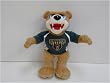 Baylor Bears 10" Plush Team Mascot Stuffed Animal NCAA College Athletics Fan Shop Sports Team Merchandise