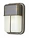 Trans Globe Lighting 41103 BK Outdoor Well 10" Bulkhead, Black