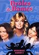 Dr�les de dames : L'Int�grale Saison 1 - Coffret 6 DVD