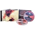 World Painted Blood (CD + DVD)