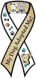 �yAnimalsINK.com�z���{���^�}�O�l�b�g�w�������e�ɂȂ������xMy Dog Adopted Me!