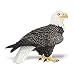 Wings of the World: Bald Eagle