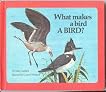 What Makes a Bird a Bird?