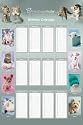 Rachael Hale (Birthday Calendar) Art Poster Print - 24" X 36"