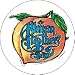 The Allman Brothers Peach Button B-0513