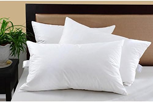 Sleeper Space TM Natural Comfort Standard Classic White Goose Down Feather Pillow
