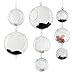 Plant Terrarium/Hanging Candle Holder, Round Base with 2 hooks (12 pcs)