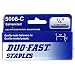 1000 Galvanized Staples 1/4