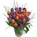 Autumn Tulips