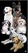 Dog Beach Towel