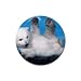 Baby Polar Bear Round Rubber Coaster set 4 pack Great Gift Idea