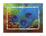 Yellowtail Damselfish Decorative Art Poster Print by Sue Duda, 28x22