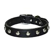 1/2 in. Regular Studded Latigo Leather Dog Collar model 12LS (Black, 14 in.)