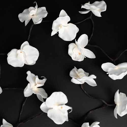 String of 20 White Ornamental Orchid Christmas Fairy Lights 3.5m