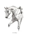 "A True Gentleman" Original Drawing by Shivak