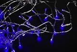 Garten & Freizeit : 180 LED Lichterkette blau Weihnachts-Beleuchtung NEU