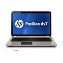 17.3" Laptop