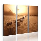 Nick Laws "CAP FERRET" Bild Giclée Kunstwerk