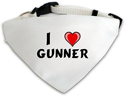 Personalized White Dog Scarf with I love Gunner (first name/surname/nickname)