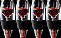 Vinturi Wine Essential Aerator Decanting Set of 4