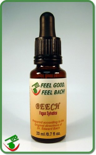 Feel Bach! flower Beech 20 ml