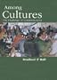 Among Cultures: Communication and Challenges