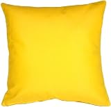 Pillow Decor - Sunbrella Sunflower Yellow Outdoor Throw Pillow
