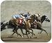 Horse Racing Horse Race Longshot Dog Puppy Mouse Pad MousePad