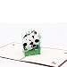 Magideal 3D Pop Up Invitation Greeting Card Valentine Anniversary Birthday Panda RS.150.00