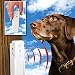 Pet Parade's Wireless Bark Buster Training Tool