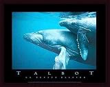 41Xp7Ka4tlL. SL160  talbots petite	|La Petite Baleine, Art Poster by Bob Talbot Reviews