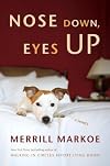 Nose Down, Eyes Up: A Novel