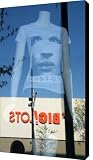Big Lots Canvas Print / Canvas Art - Artist Peter Veljkovich