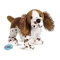 webkinz pets