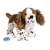 Webkinz Brown Springer Spaniel