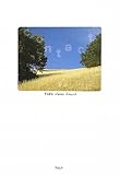 CONTACT-