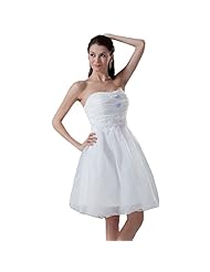 Short Chiffon/Tulle Evening Dress/Bridesmaid Dress/Wedding Party Dress/Mini Dress 