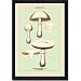 Framed Art Poster 20x30, Edible Fungi: Horse Mushroom