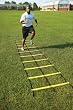 ABC2 Ladder