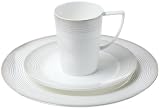 Opus Fine Bone China Silver Rimmed 16 Piece Dinner set