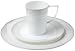 Opus Fine Bone China Silver Rimmed 16 Piece Dinner set