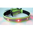 Dog safety collar flashing