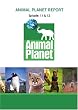 Animal Planet Report - Episode 11 & Episode 12